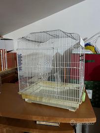 gabbietta per uccelli