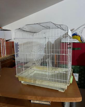 gabbietta per uccelli