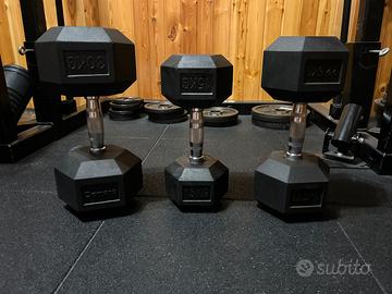 Manubri 15 kg, 22,5 kg, 30 kg Diamond