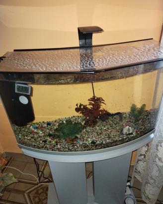 acquario d'acqua dolce 