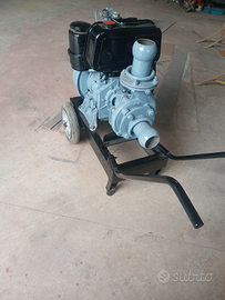 Pompa da 80 x irrigazione