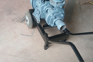 Pompa da 80 x irrigazione