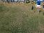 Immagine 16