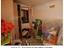 Immagine 26