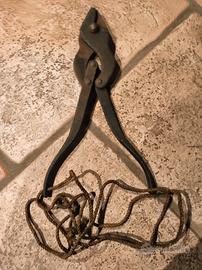 taglia filo spinato inglese 