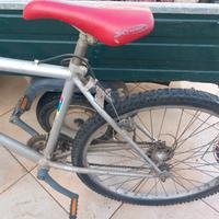 bici adulti 