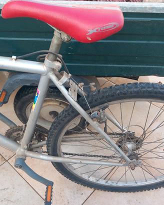 bici adulti 