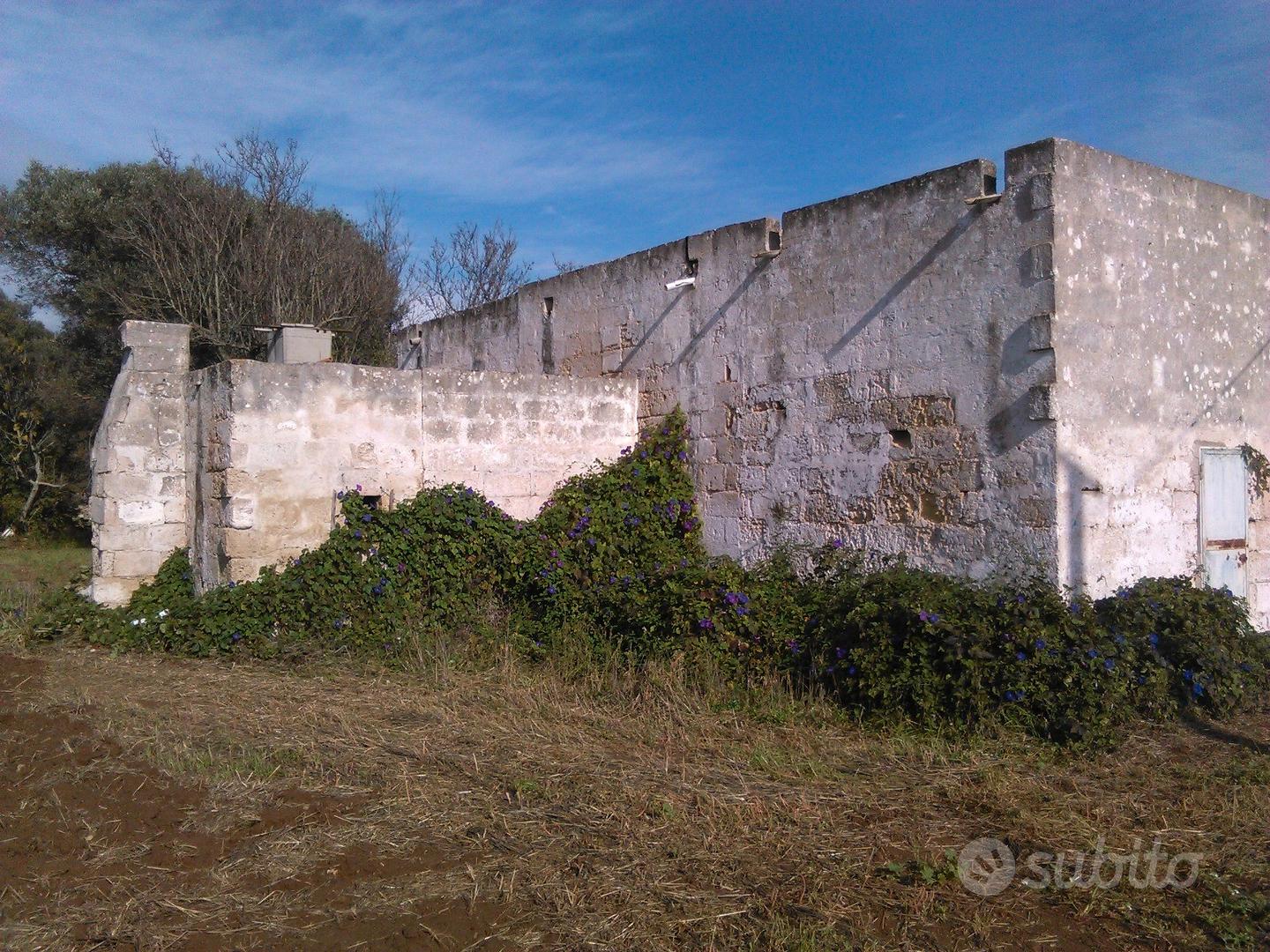 CampomarinoTA Fabbricato rurale su terreno 1000 mq - Vista 2