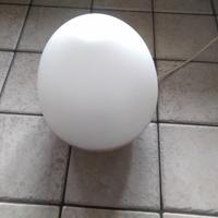 Lampada con diffusore