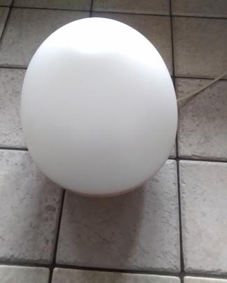 Lampada con diffusore