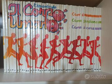 Collezione completa libri per bambini 