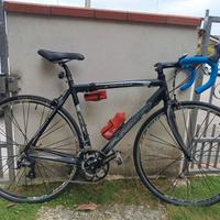 Nuzzi SNR Rocco CX