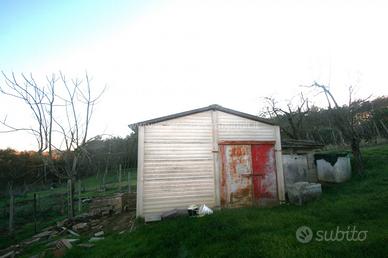 CA41 - Sinalunga capanno agricolo di mq 65