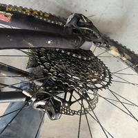 Ebike focus