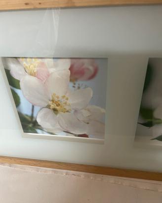 Quadro moderno ikea