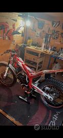 Beta Evo 250 2T 2017.