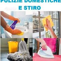 Baadante colf donna delle pulizie a ore