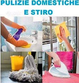 Baadante colf donna delle pulizie a ore