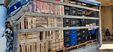 Cassette per lavorazione ortofrutta e verdura