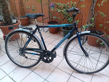 City bike Esperia 6 marce