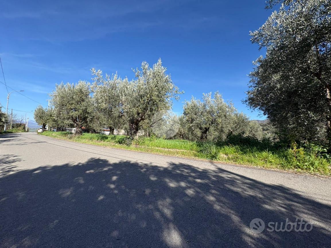 TER. RESIDENZIALE A LUZZI - Vista 5