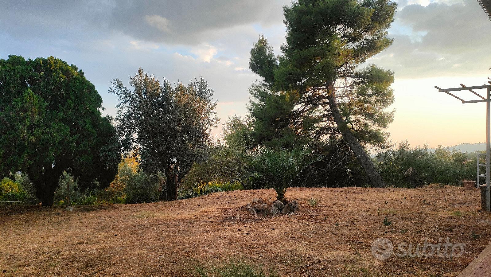Casa – CZ, Catanzaro - Vista 3