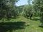 Immagine 14