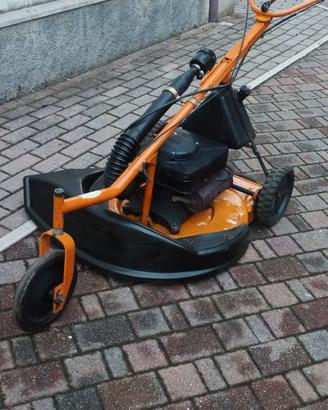 taglia erba asmotor 2 tempi 