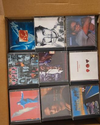 CD musica rock Scatolone da 230