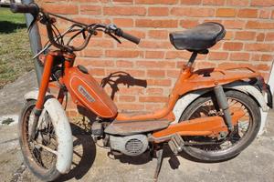 Motorino Testi anni 70 CON LIBRETTO