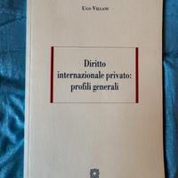 Manule di Diritto Intenazionale Privato - Villani