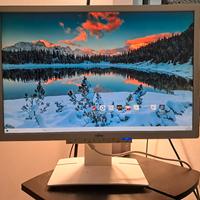 Monitor Fujitsu 22"