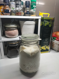Lievito madre fresco