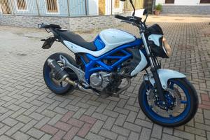 Suzuki Gladius 650