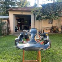 Go kart intrepid rotax max