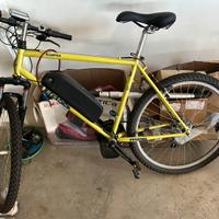 Bici elettrica