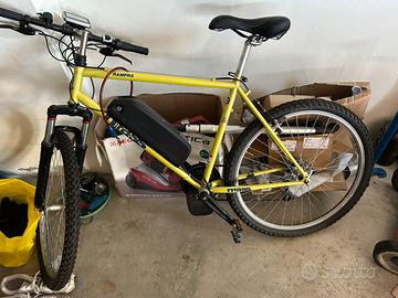 Bici elettrica