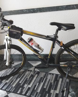 Bici mountain bike