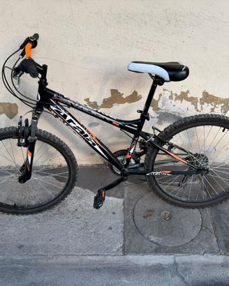 bicicletta