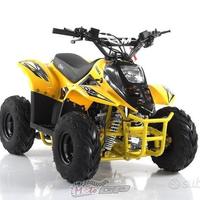 Quad mikro 110cc
