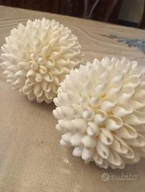 Conchiglia bianca naturale