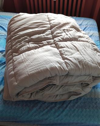 Piumone per letto di una piazza e mezza