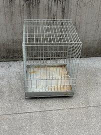 Gabbia per papoagallo o uccelli