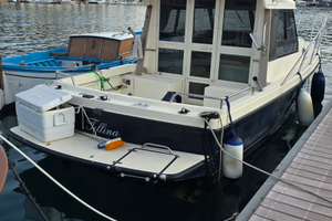 Barca a motore vegliatura 27 San Vincenzo 2006