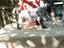 Immagine 3