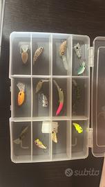 Trout area
