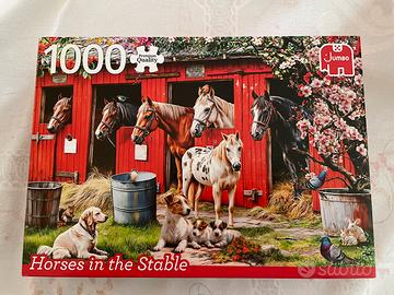 Puzzle 1000 pezzi