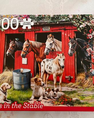 Puzzle 1000 pezzi