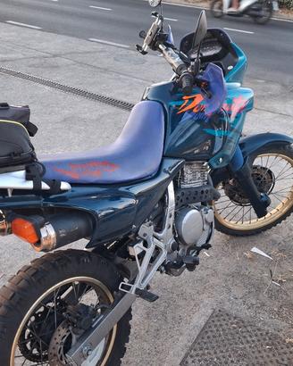 Honda Dominator 650 edizione limitata d'epoca