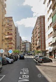 Cipro accogliente trilocale ammobiliato